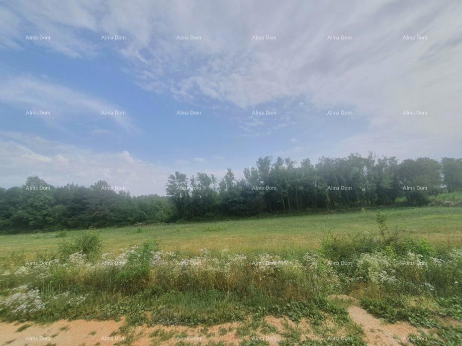 VIŠNJAN – ATTRATTIVO TERRENO EDILIZIO CON VISTA, 2.588 m²