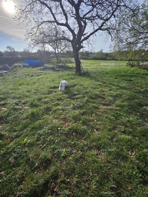 Kanfanar, Vendesi terreno edificabile, 908 m2, in un tranquillo paese istriano