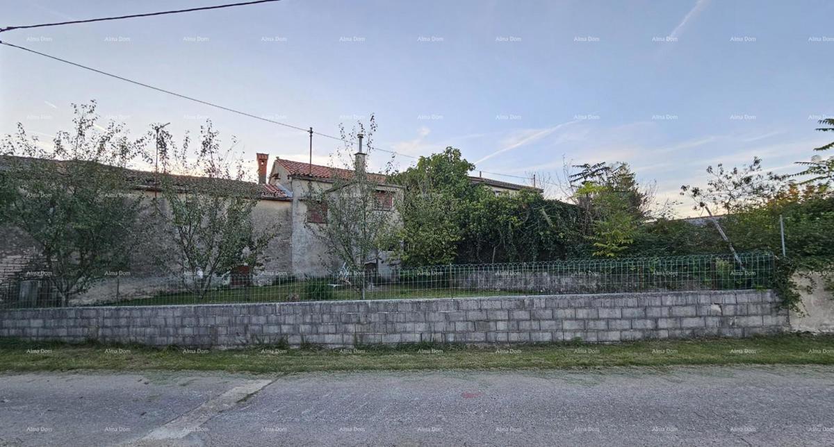 ŽMINJ (dintorni) - splendida casa in pietra con giardino