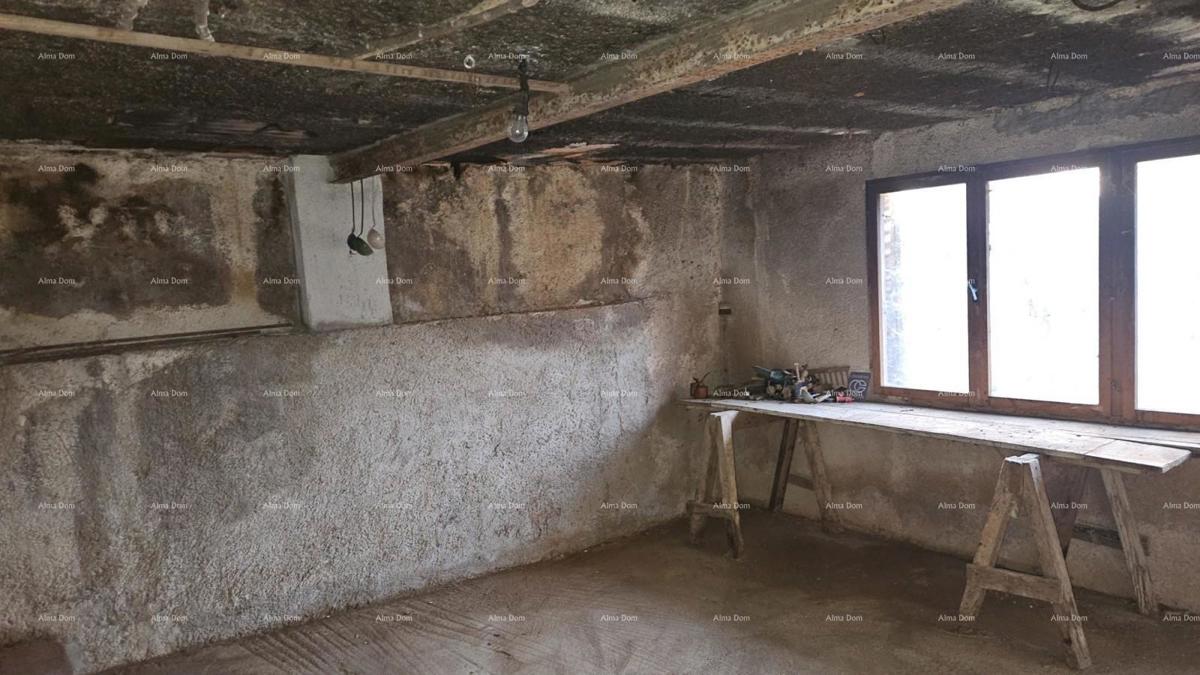 ŽMINJ (dintorni) - splendida casa in pietra con giardino