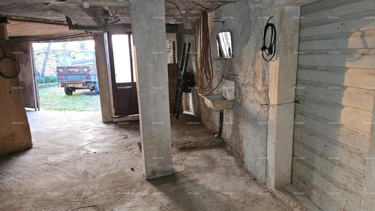 ŽMINJ (dintorni) - splendida casa in pietra con giardino