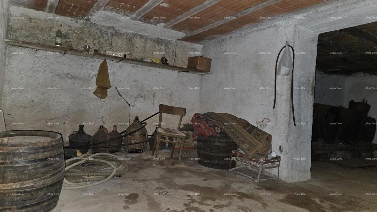 ŽMINJ (dintorni) - splendida casa in pietra con giardino