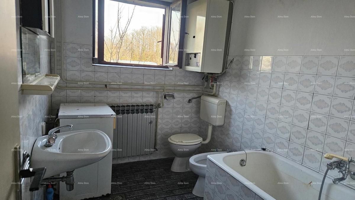 ŽMINJ (dintorni) - splendida casa in pietra con giardino