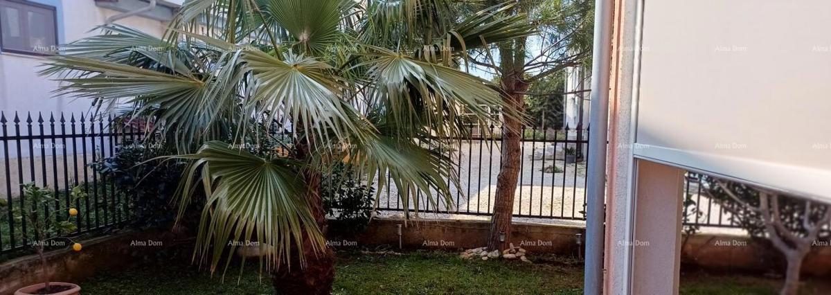 In vendita appartamento a Ližnjan, 64 m2