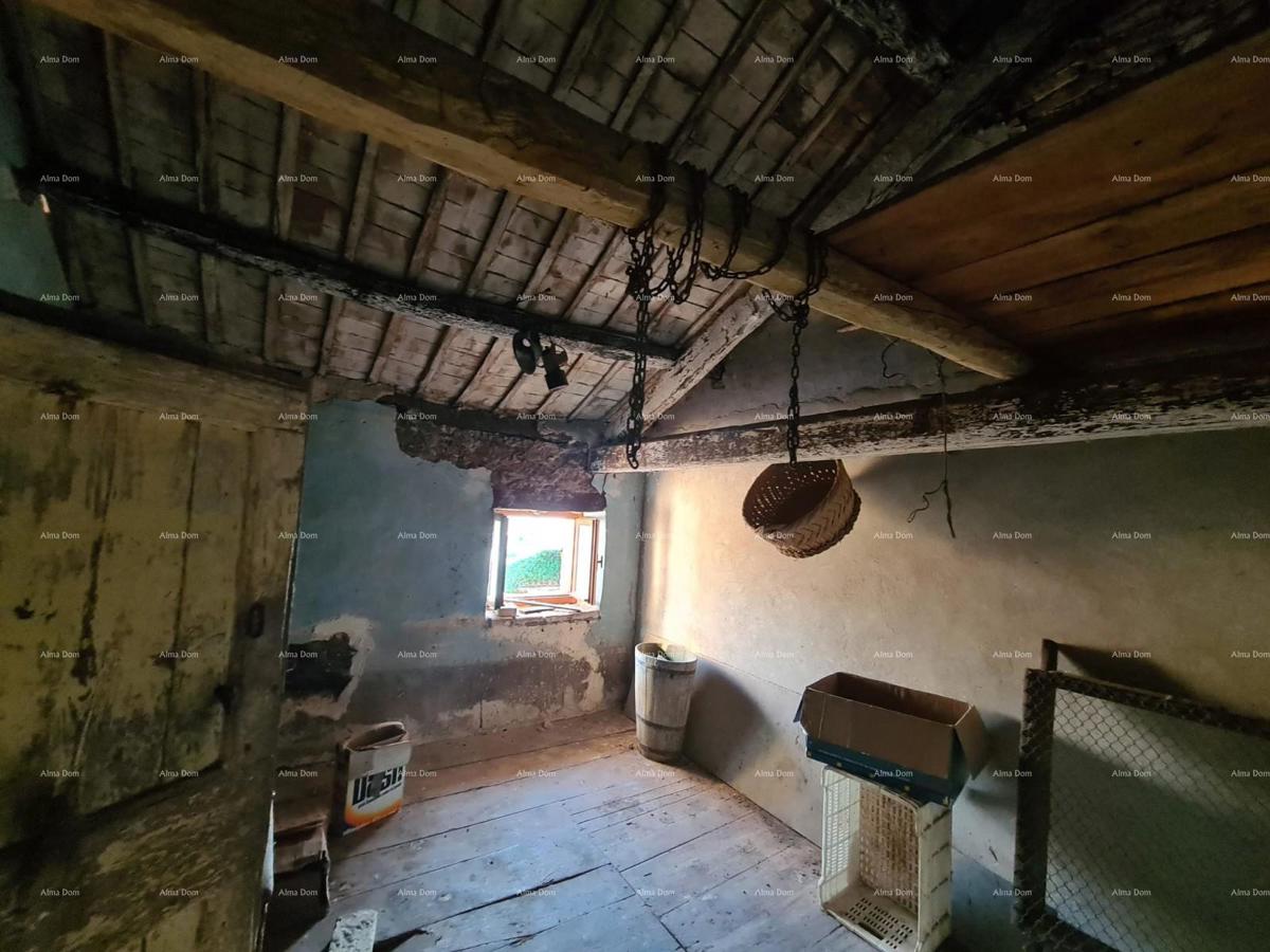 Umag, dintorni - casa autoctona con giardino!