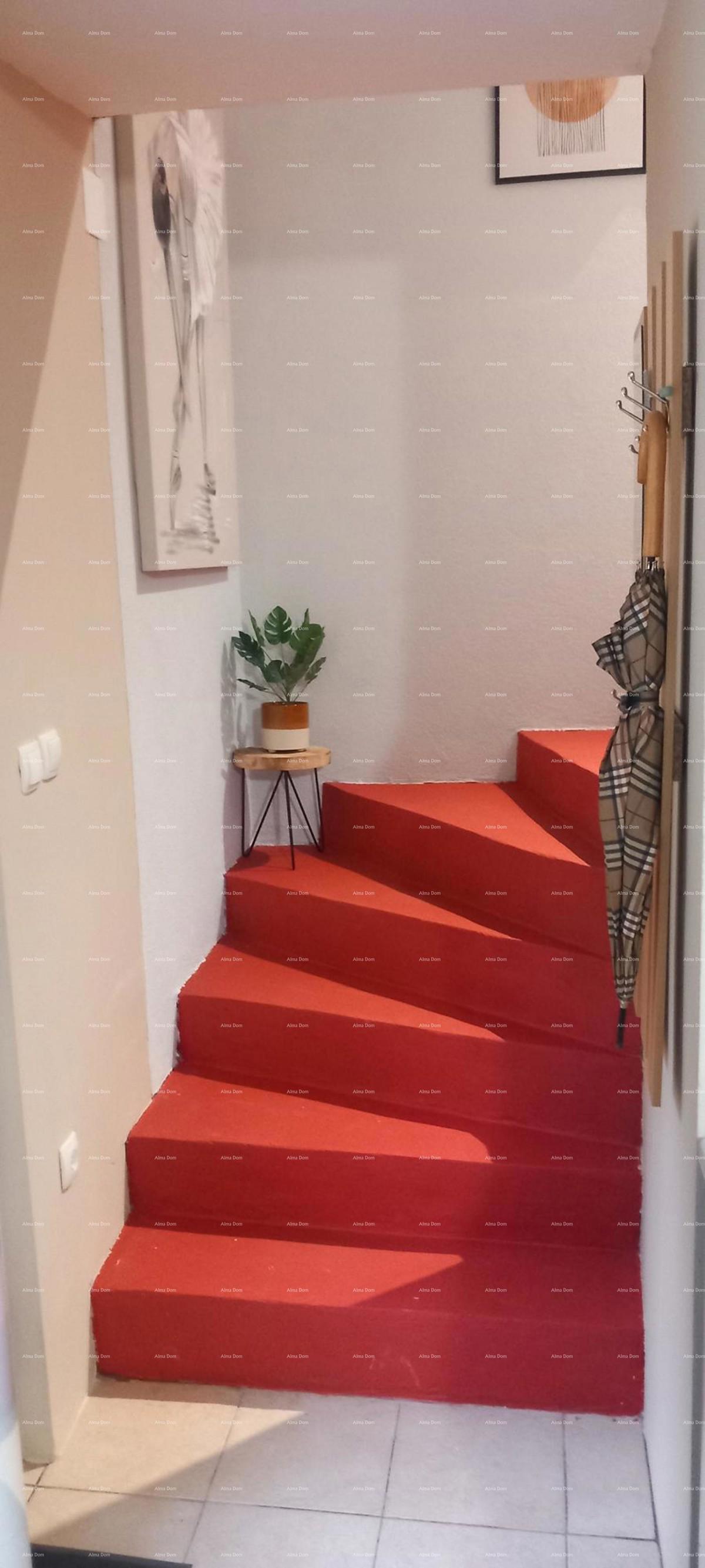 In italiano, il titolo si traduce come: