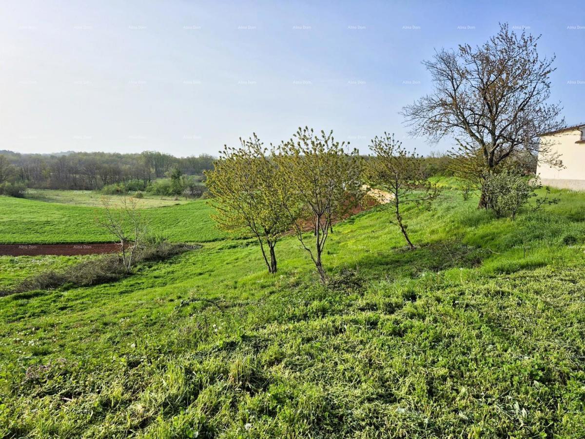 Terreno edificabile 1.730 m² – Barban