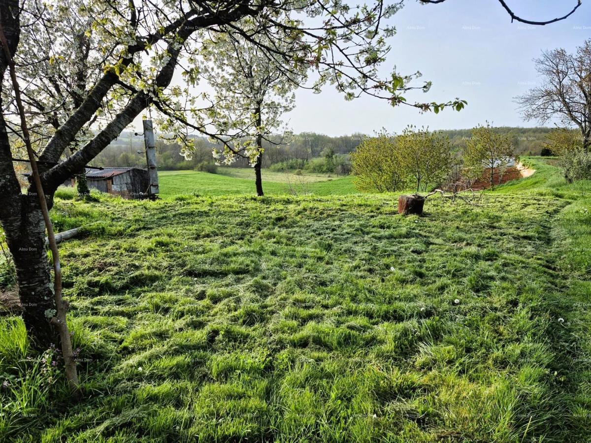 Terreno edificabile 1.730 m² – Barban