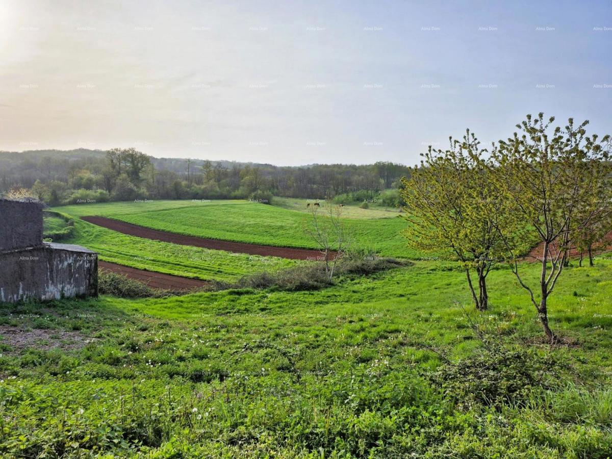 Terreno edificabile 1.730 m² – Barban