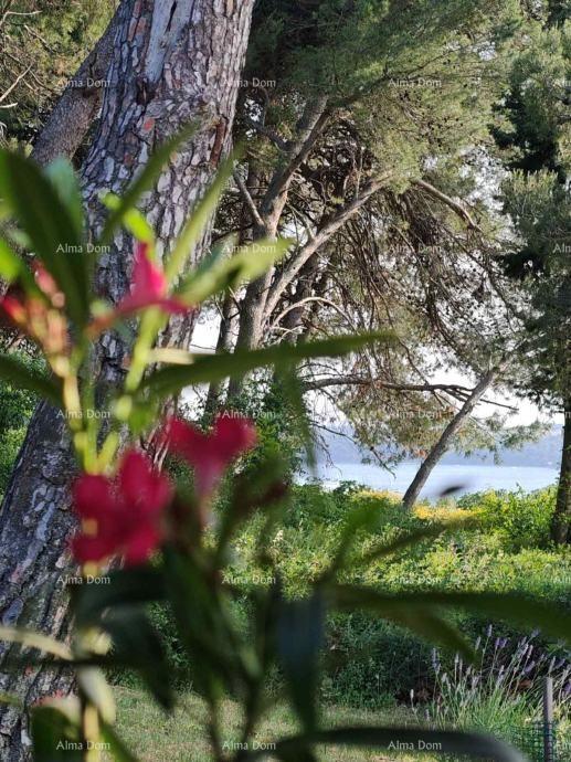 Casa con due appartamenti, Medulin