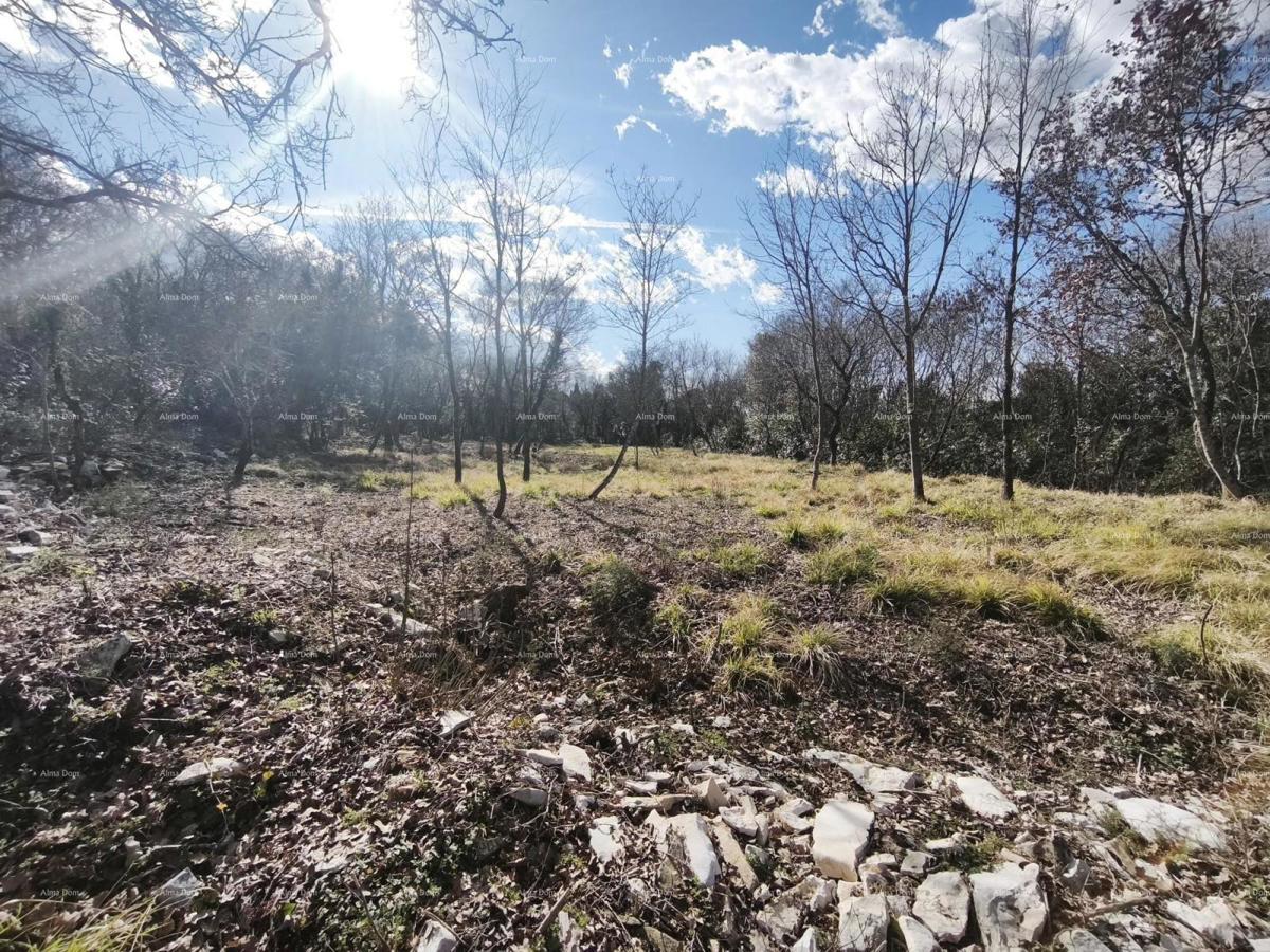 Buje – terreno edificabile di 1.086 m² con vista mare