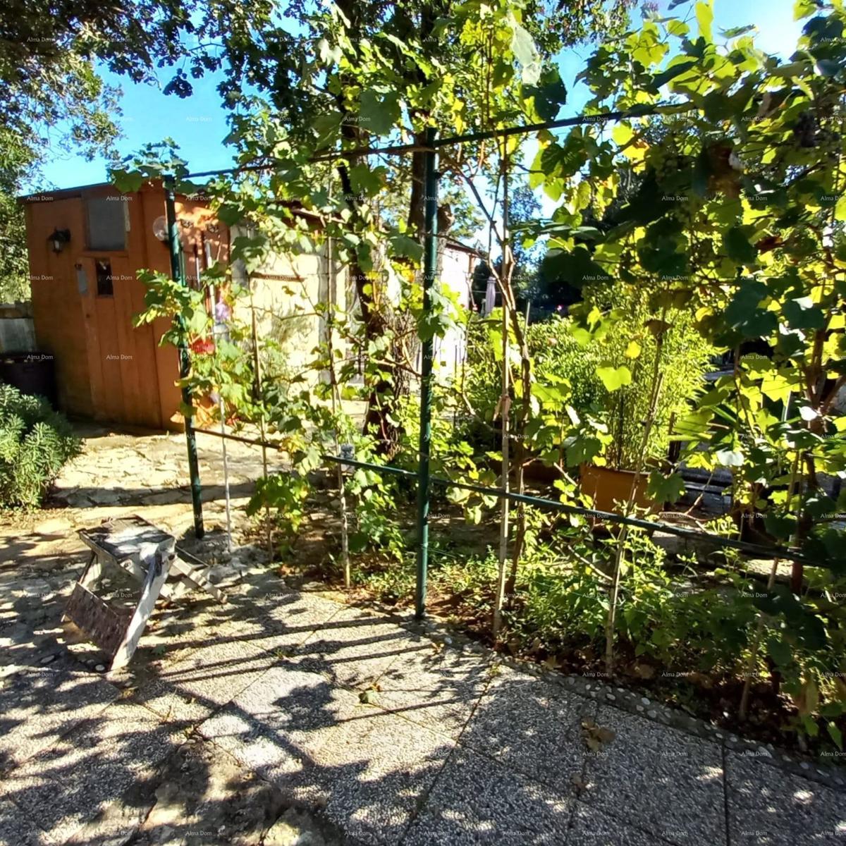 MEDULIN – AUTENTICA CASA ISTRIANA (KAŽUN) CON GIARDINO, A 600 M DAL MARE