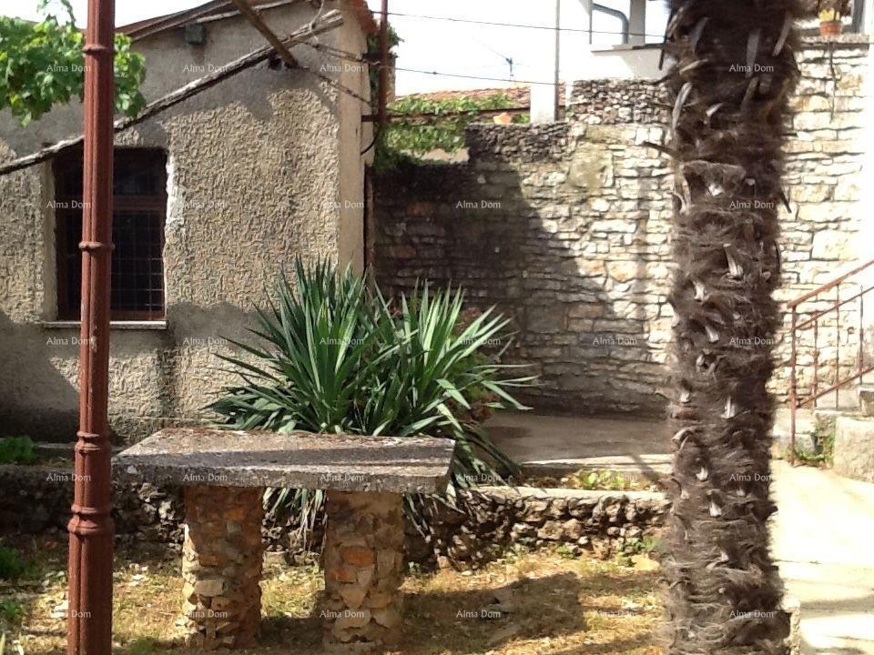 The translation of the title