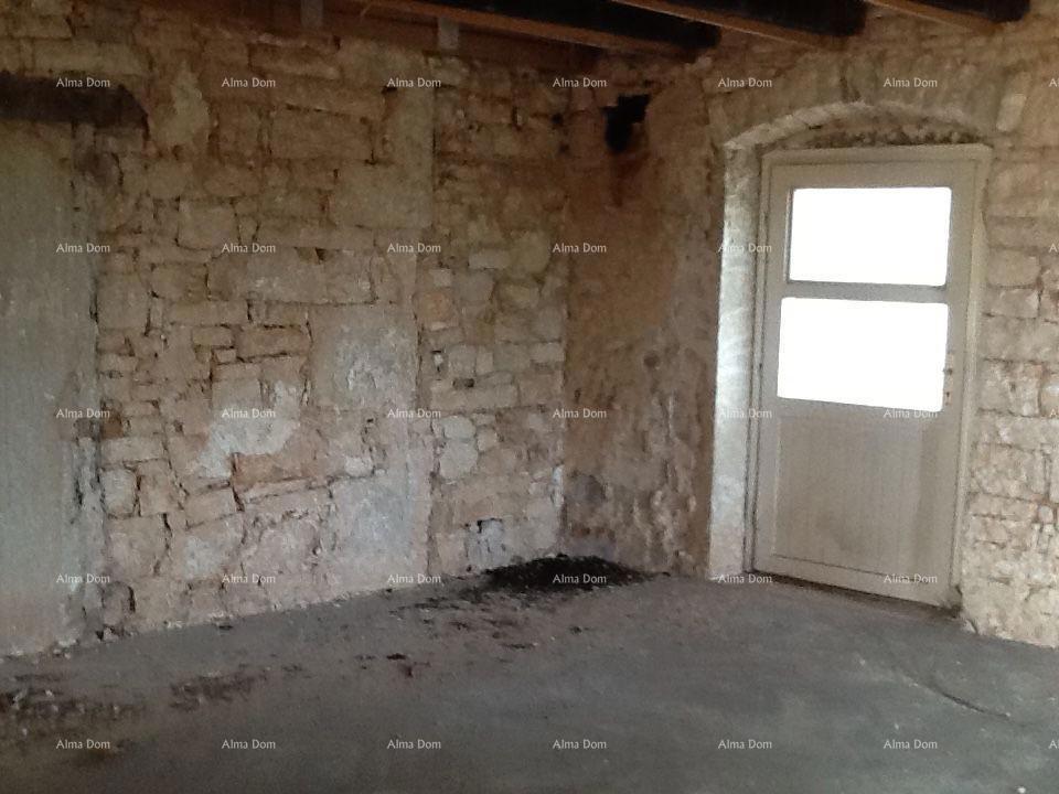 The translation of the title