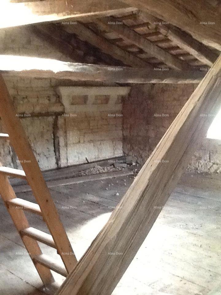 The translation of the title