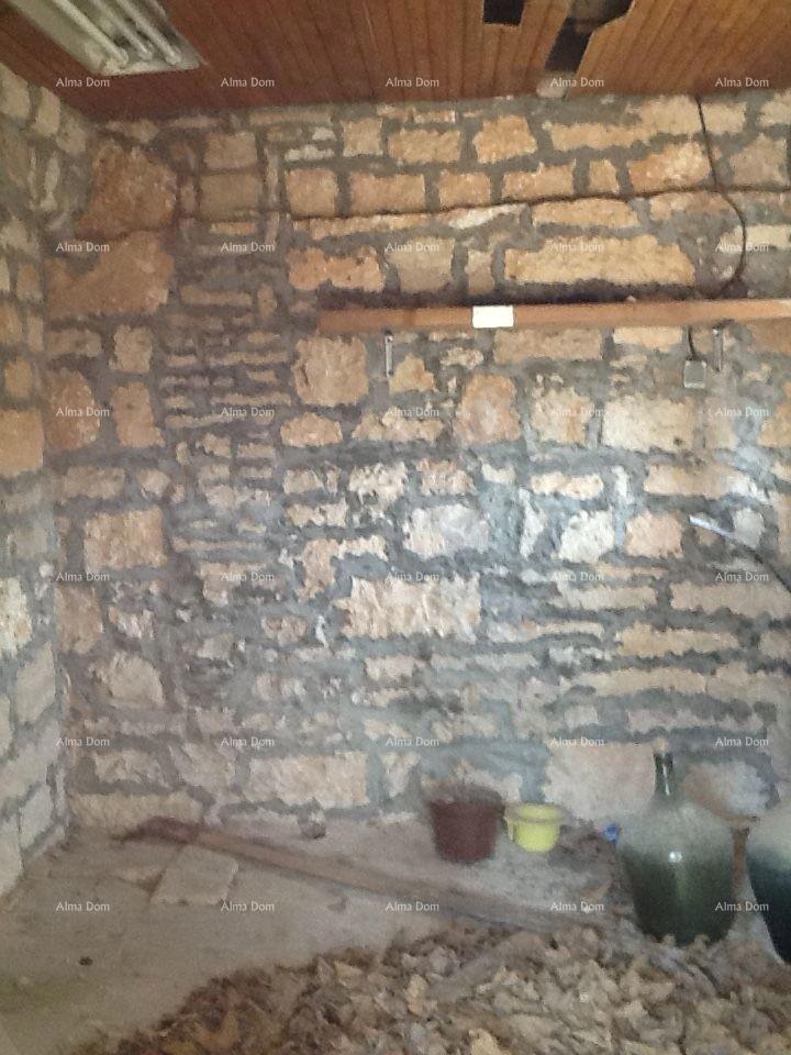 The translation of the title