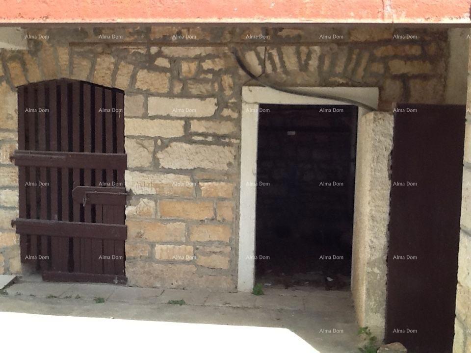 The translation of the title