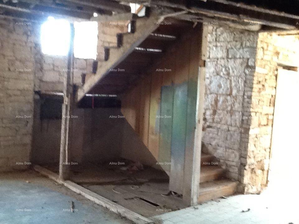 The translation of the title