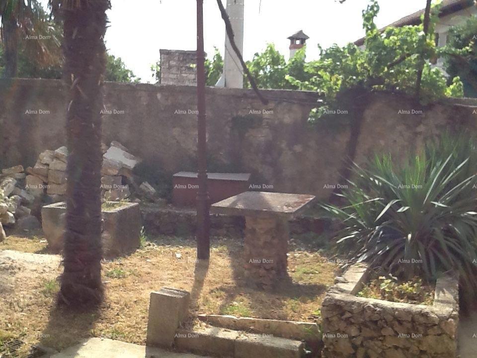 The translation of the title