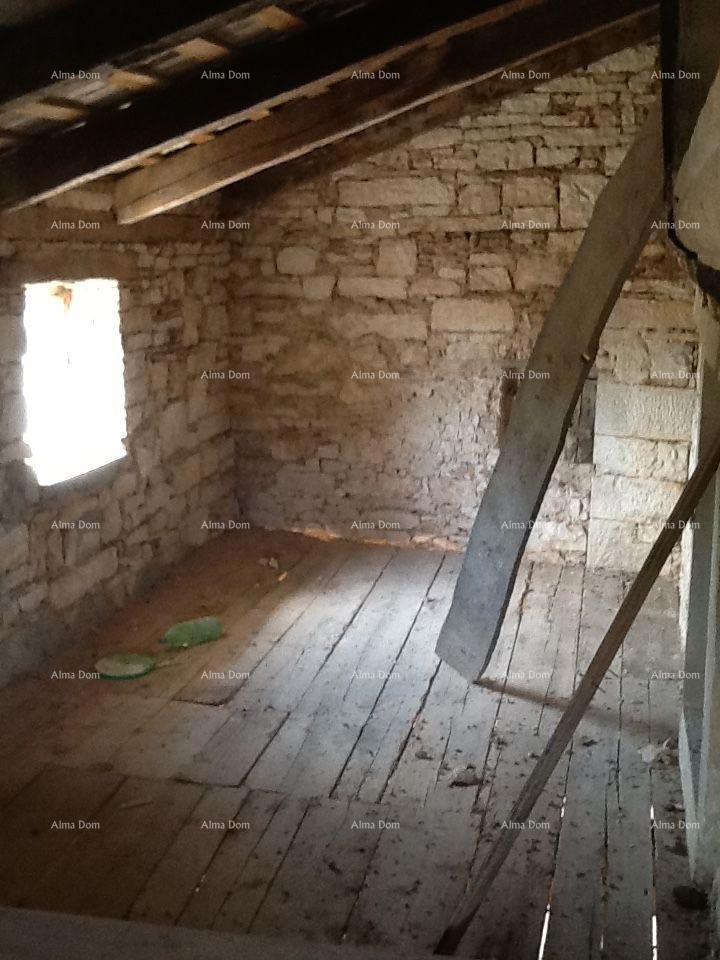 The translation of the title