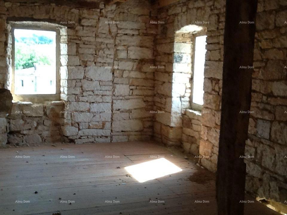 The translation of the title