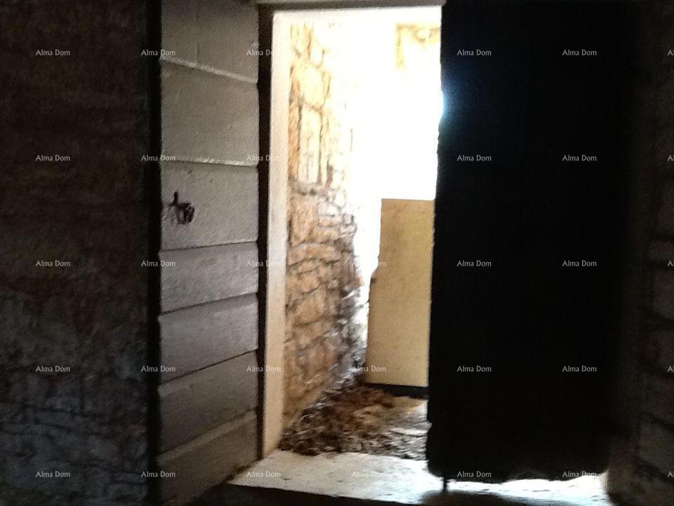 The translation of the title