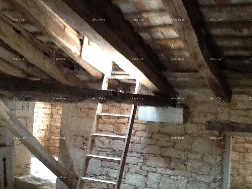 The translation of the title