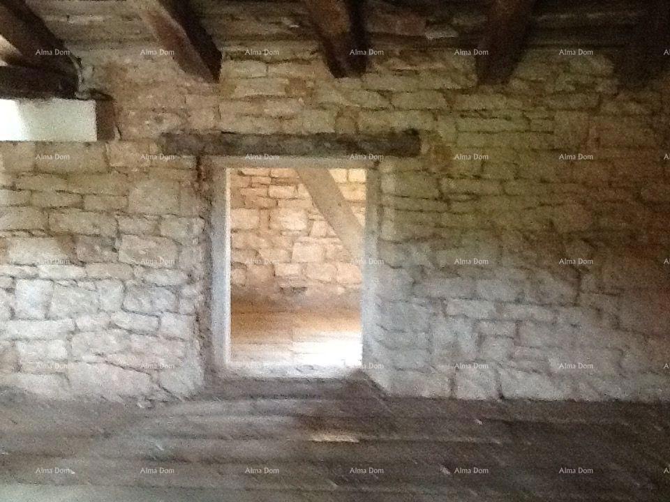 The translation of the title