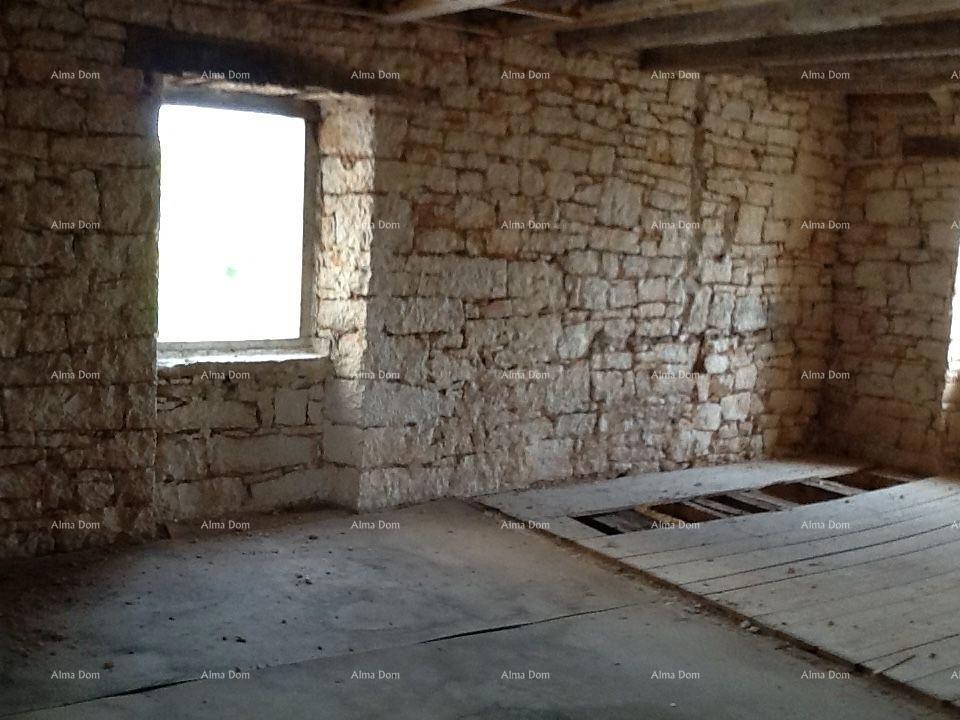 The translation of the title