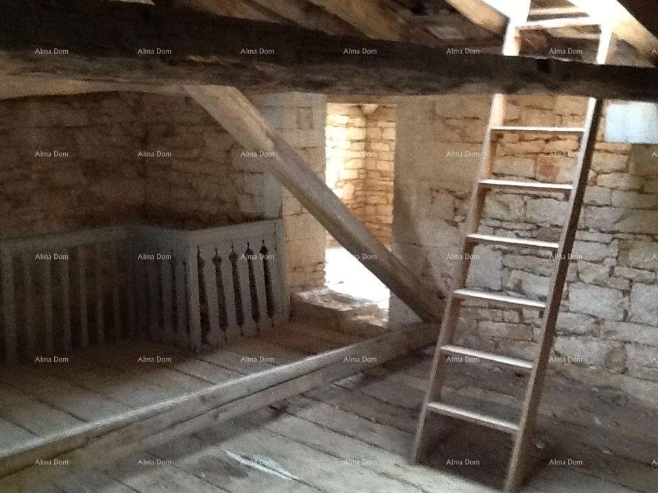 The translation of the title