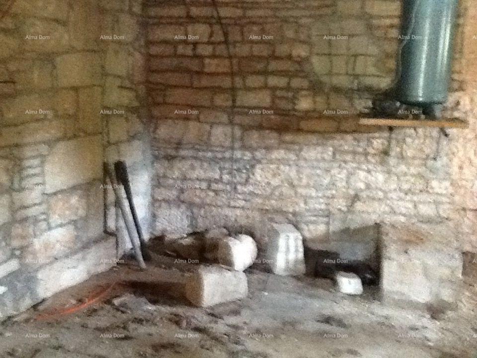 The translation of the title