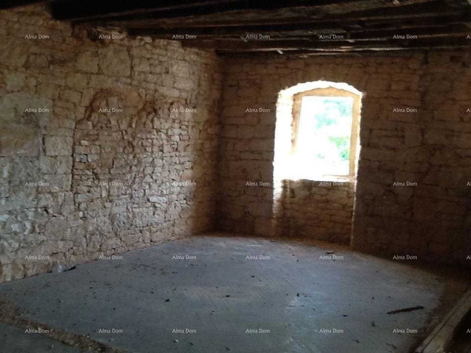 The translation of the title