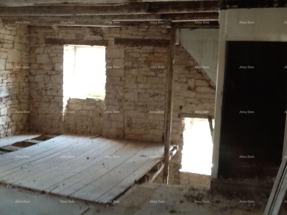 The translation of the title