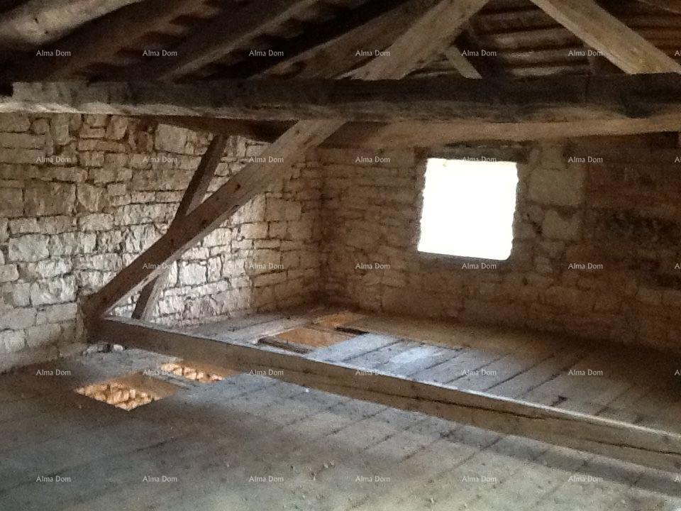 The translation of the title