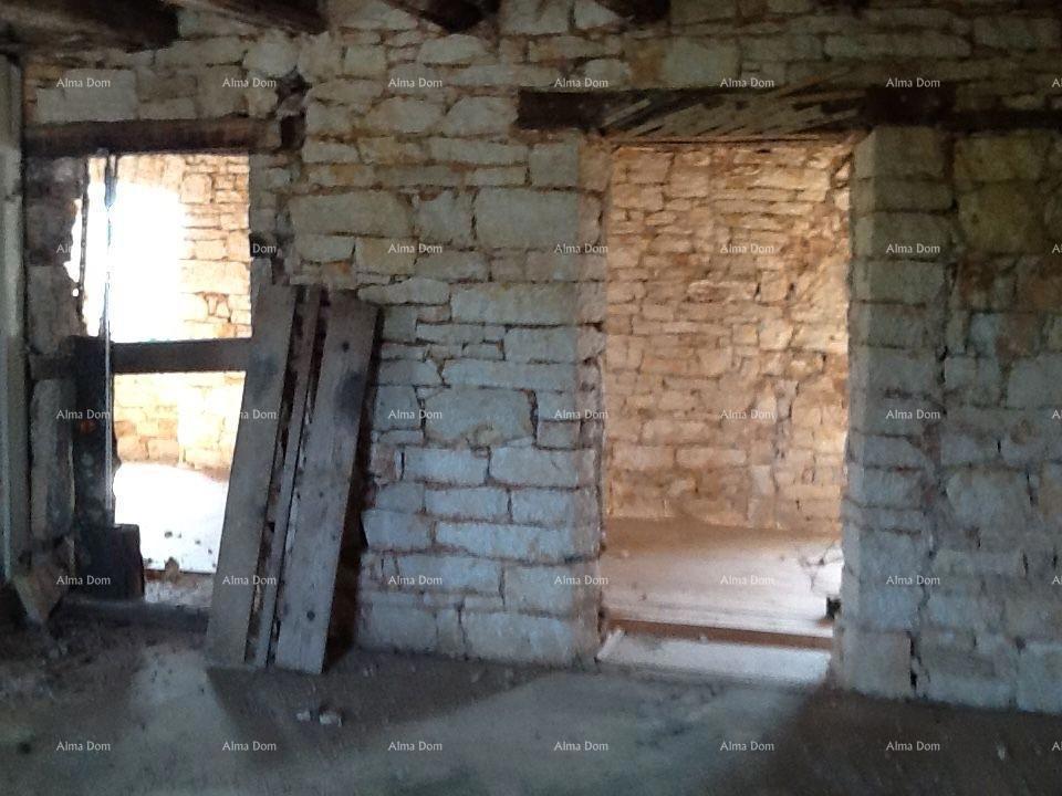 The translation of the title