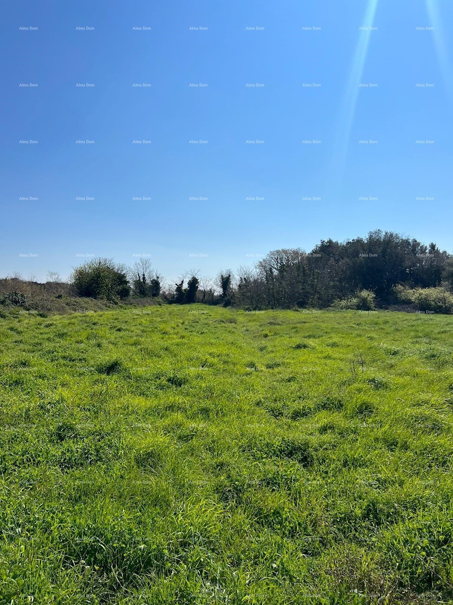 Terreno agricolo Ližnjan