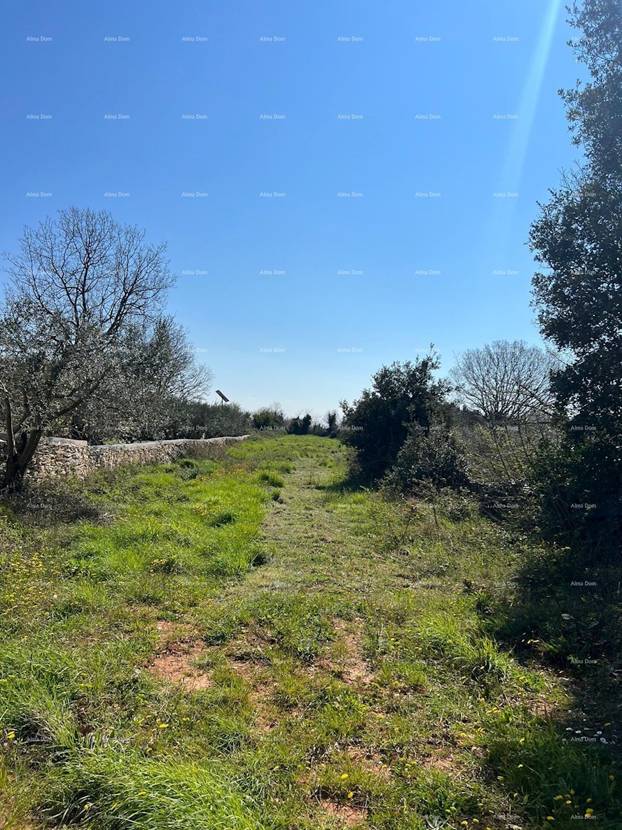 Terreno agricolo Ližnjan