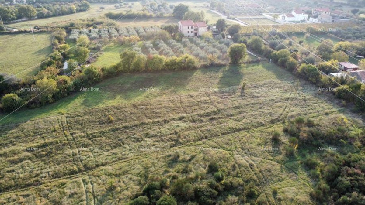 Terreno agricolo Galižana