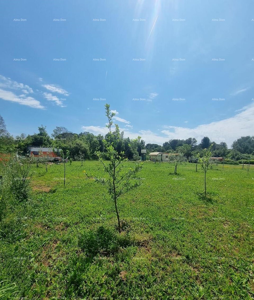 Terreno agricolo in vendita a Valbandon