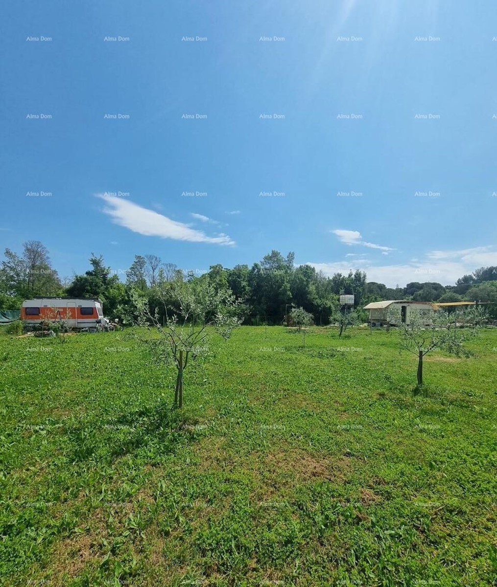 Terreno agricolo in vendita a Valbandon