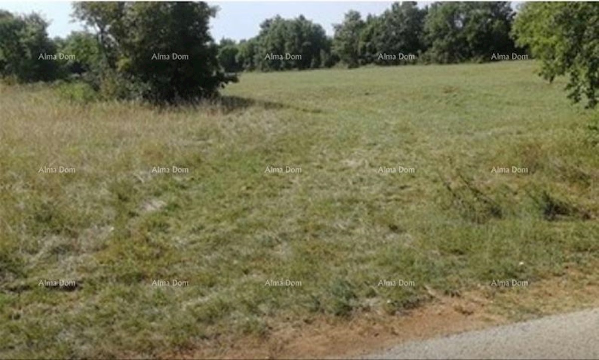 Terreno edificabile e agricolo in vendita, Gimino