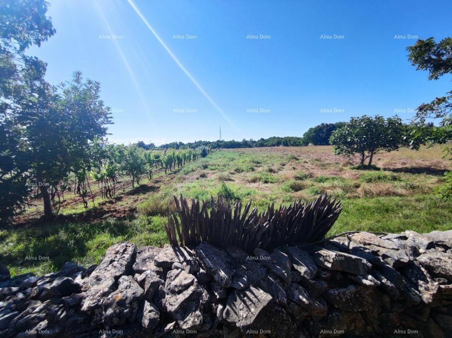 Terreno agricolo Barban