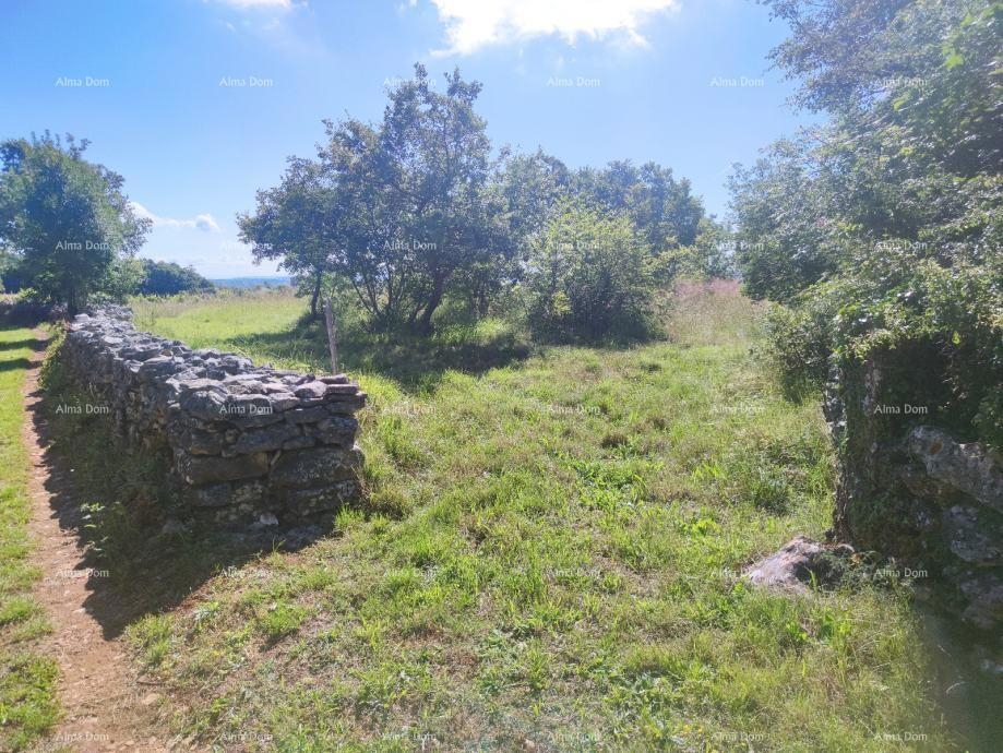 Terreno agricolo Barban