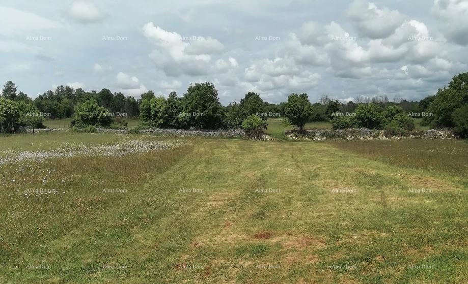 Terreno agricolo Barban