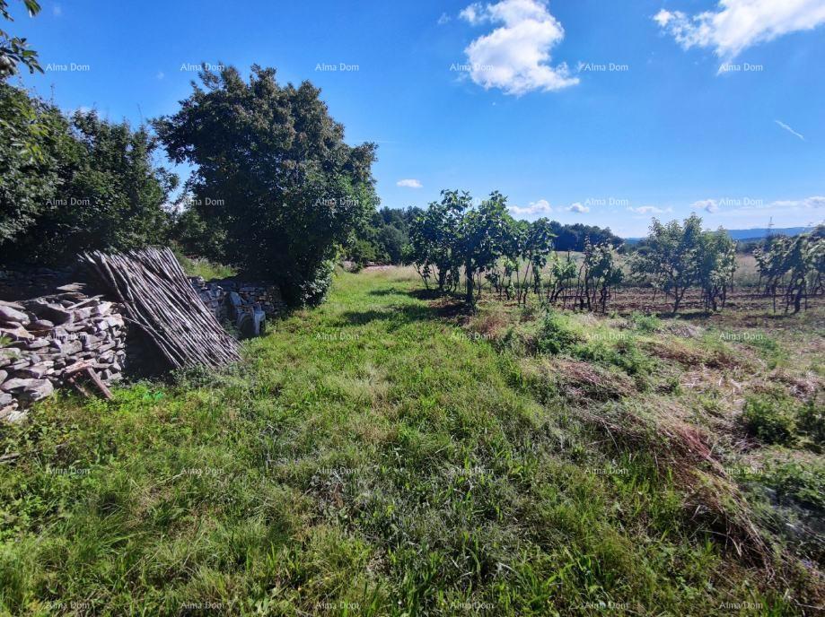 Terreno agricolo Barban