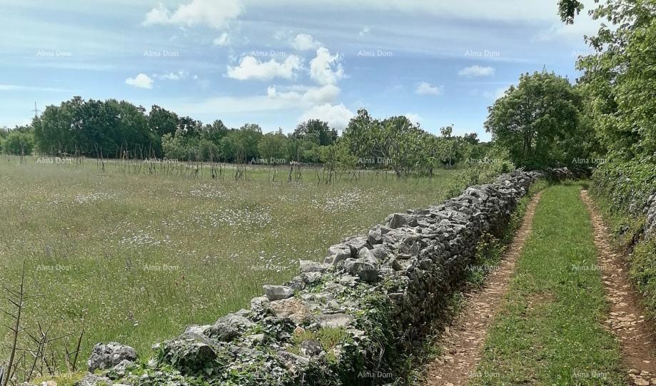 Terreno agricolo Barban