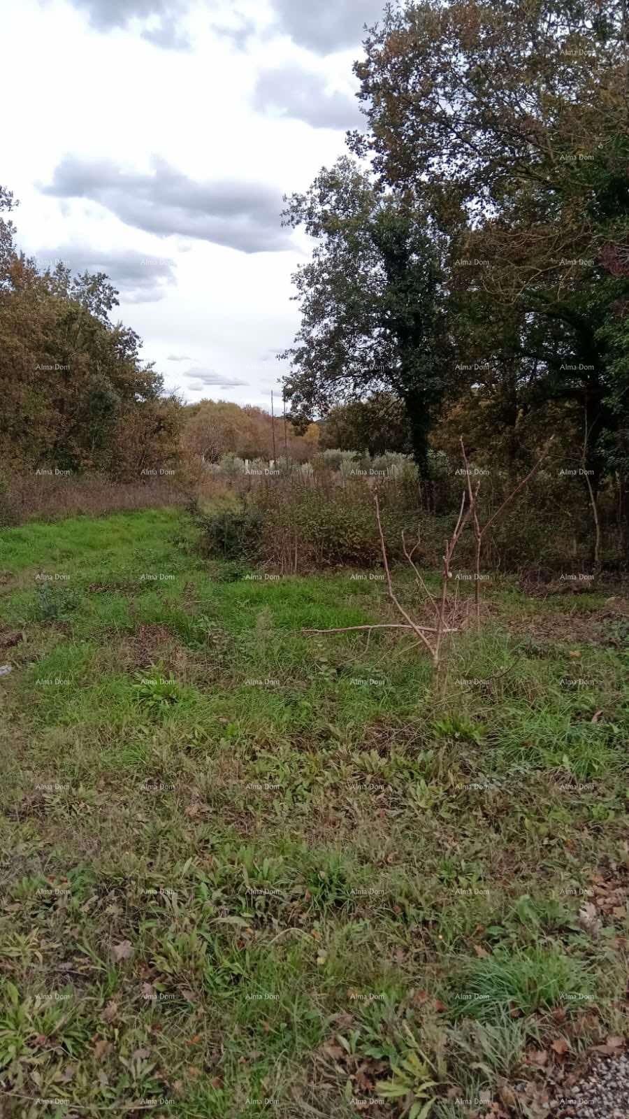 Terreno Agricolo, Biškupije, Medulin.