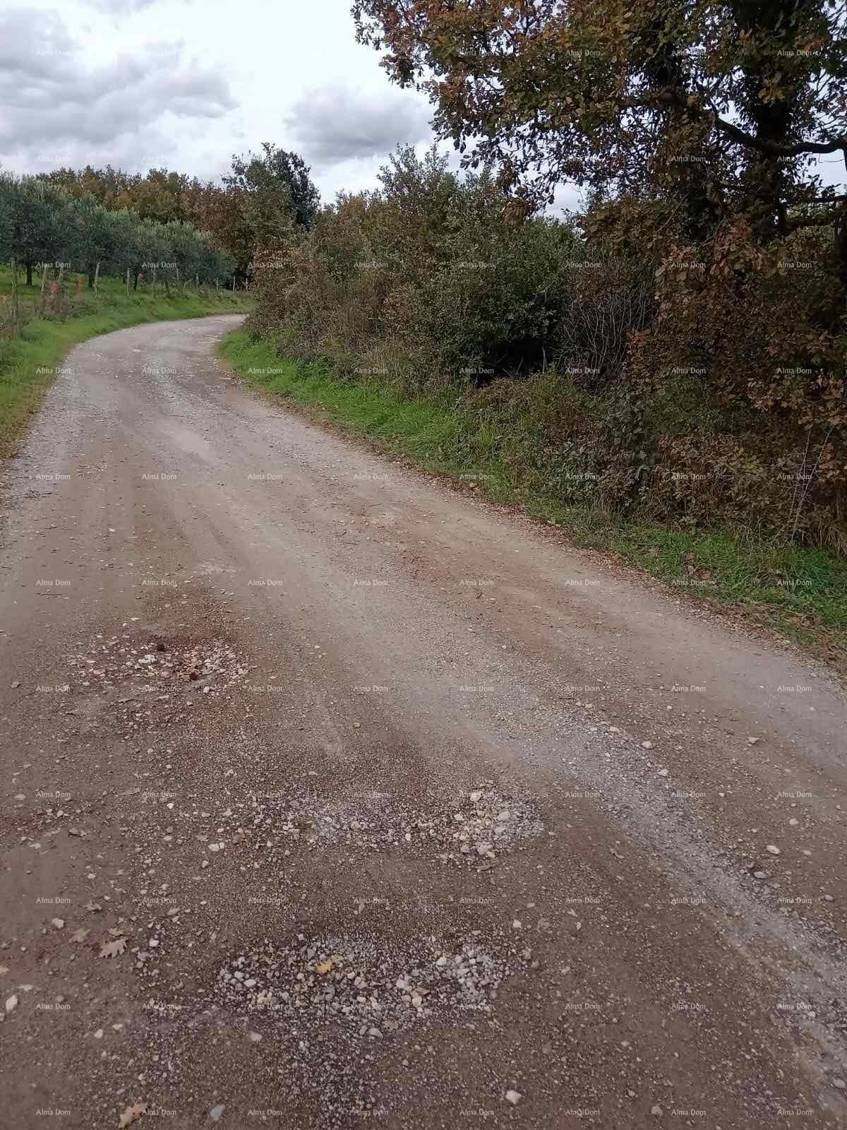 Terreno Agricolo, Biškupije, Medulin.