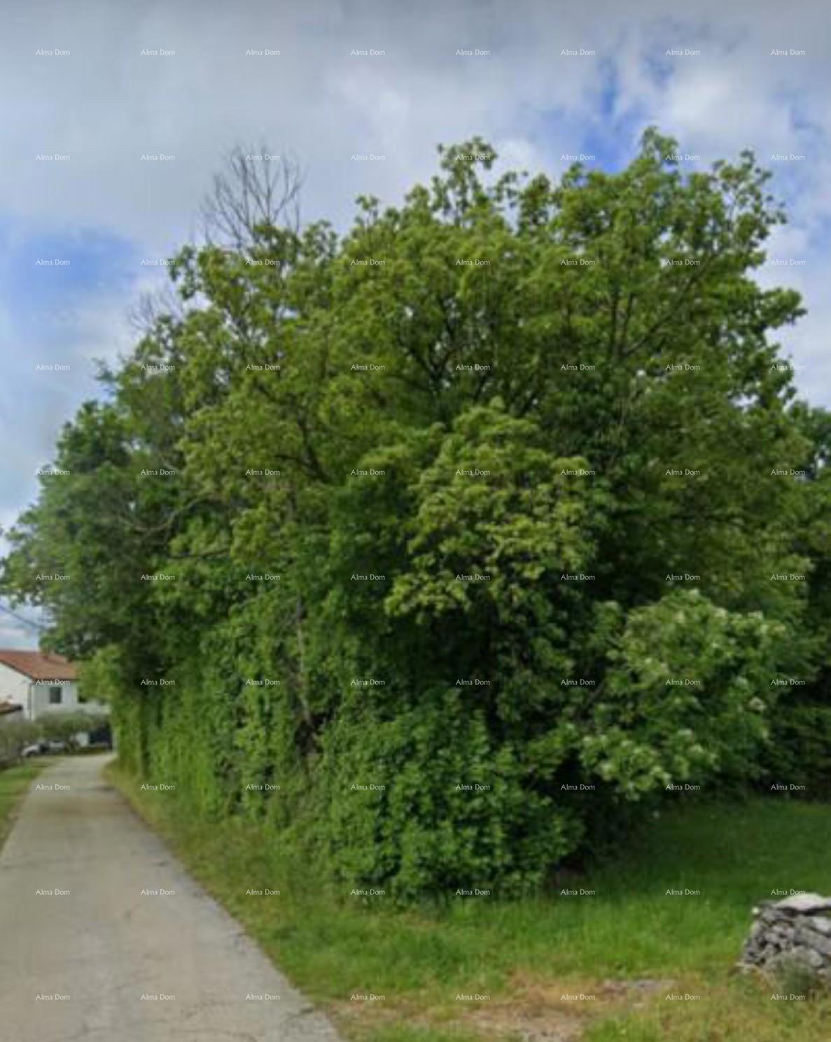 Vendita di terreno edificabile di 1050m2, Pinguente!