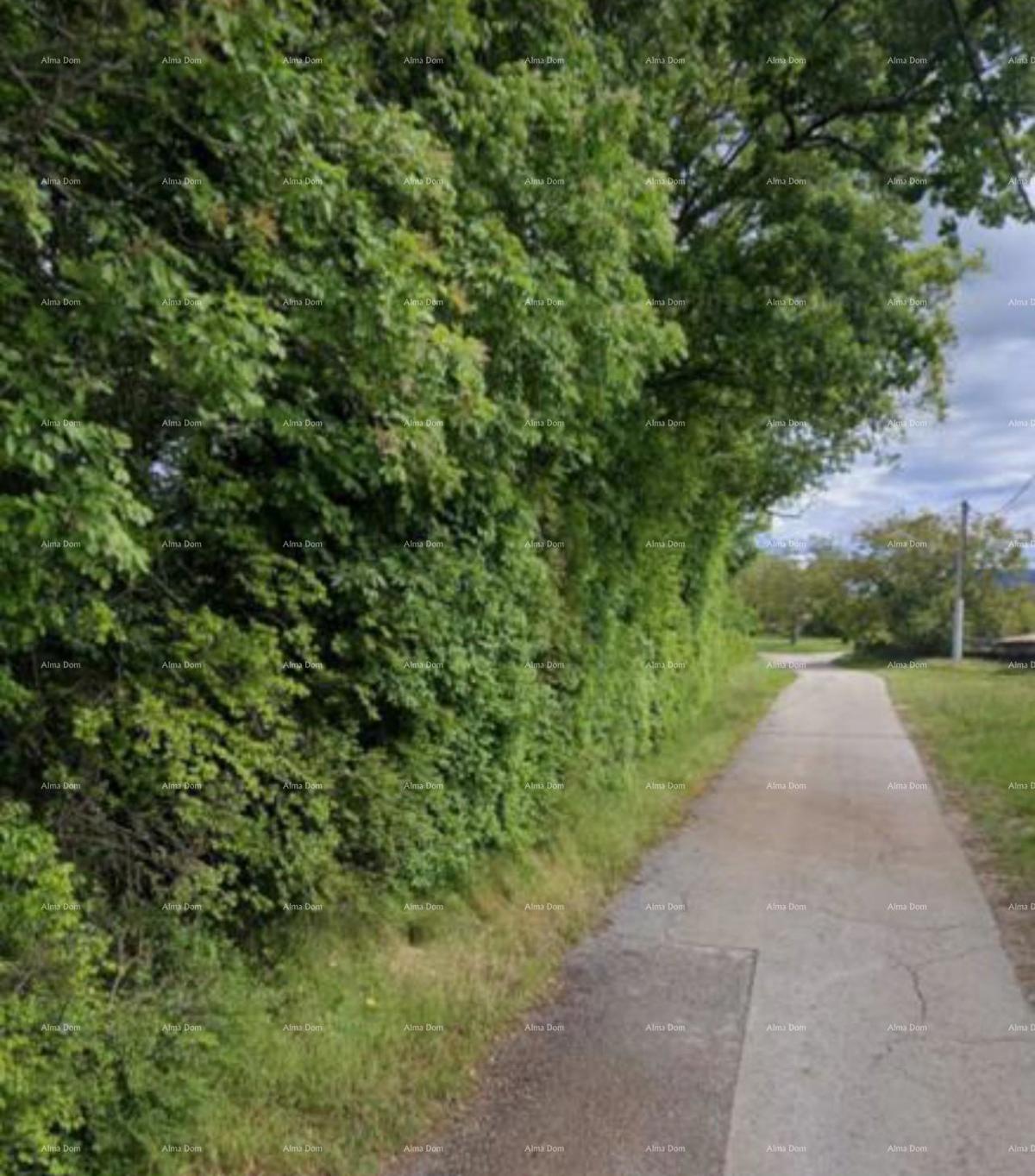 Vendita di terreno edificabile di 1050m2, Pinguente!